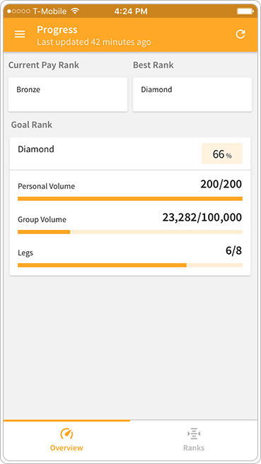 Network marketing career path progress